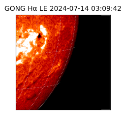 gong - 2024-07-14T03:09:42