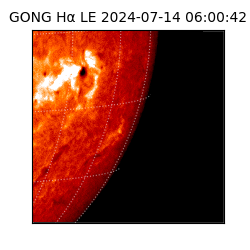 gong - 2024-07-14T06:00:42