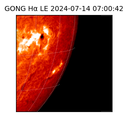 gong - 2024-07-14T07:00:42