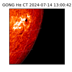 gong - 2024-07-14T13:00:42