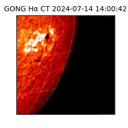 gong - 2024-07-14T14:00:42