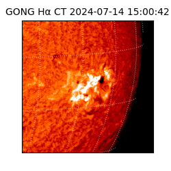 gong - 2024-07-14T15:00:42