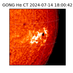 gong - 2024-07-14T18:00:42