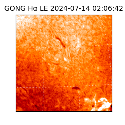 gong - 2024-07-14T02:06:42