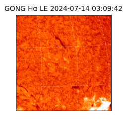 gong - 2024-07-14T03:09:42