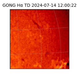 gong - 2024-07-14T12:00:22