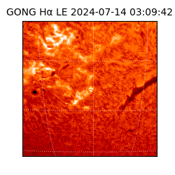 gong - 2024-07-14T03:09:42