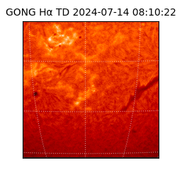 gong - 2024-07-14T08:10:22