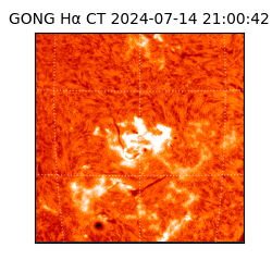 gong - 2024-07-14T21:00:42