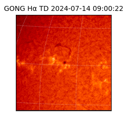 gong - 2024-07-14T09:00:22