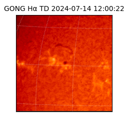 gong - 2024-07-14T12:00:22