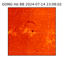 gong - 2024-07-14T23:08:02