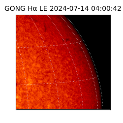 gong - 2024-07-14T04:00:42