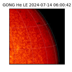 gong - 2024-07-14T06:00:42