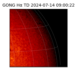 gong - 2024-07-14T09:00:22