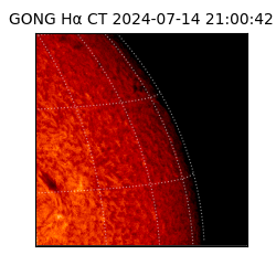 gong - 2024-07-14T21:00:42