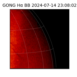 gong - 2024-07-14T23:08:02