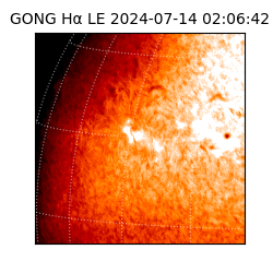 gong - 2024-07-14T02:06:42