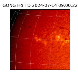 gong - 2024-07-14T09:00:22