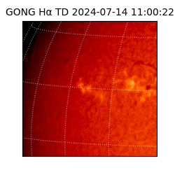 gong - 2024-07-14T11:00:22