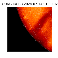 gong - 2024-07-14T01:00:02