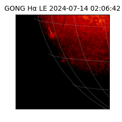 gong - 2024-07-14T02:06:42