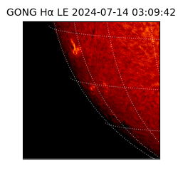 gong - 2024-07-14T03:09:42