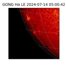 gong - 2024-07-14T05:00:42