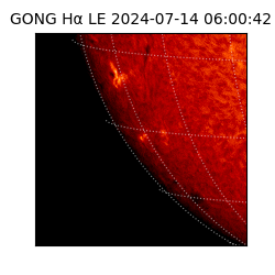 gong - 2024-07-14T06:00:42