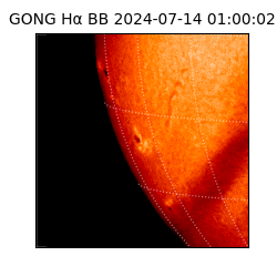 gong - 2024-07-14T01:00:02