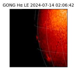 gong - 2024-07-14T02:06:42