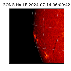 gong - 2024-07-14T06:00:42