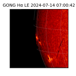 gong - 2024-07-14T07:00:42