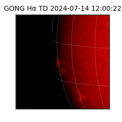 gong - 2024-07-14T12:00:22