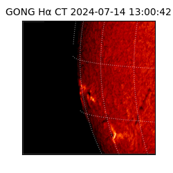 gong - 2024-07-14T13:00:42