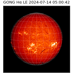 gong - 2024-07-14T05:00:42