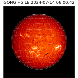 gong - 2024-07-14T06:00:42