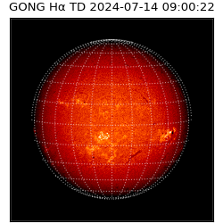 gong - 2024-07-14T09:00:22