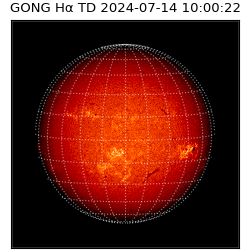 gong - 2024-07-14T10:00:22