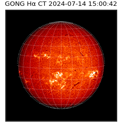 gong - 2024-07-14T15:00:42