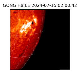 gong - 2024-07-15T02:00:42