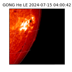 gong - 2024-07-15T04:00:42