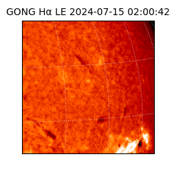 gong - 2024-07-15T02:00:42