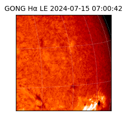 gong - 2024-07-15T07:00:42