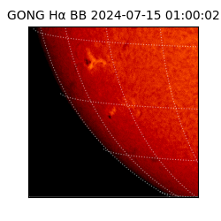 gong - 2024-07-15T01:00:02