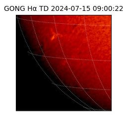 gong - 2024-07-15T09:00:22