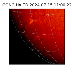 gong - 2024-07-15T11:00:22