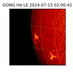 gong - 2024-07-15T02:00:42