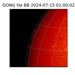 gong - 2024-07-15T01:00:02