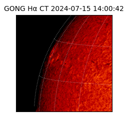 gong - 2024-07-15T14:00:42